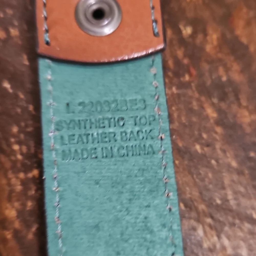 Catchfly Kids' Brown and Green Belt with Silver Buckle